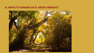 EL IMPACTO HUMANO EN EL MEDIO AMBIENTE by JAVIER Martín Gallardo on ...