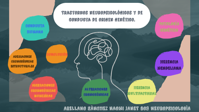 Transtornos Neuropsicologicos Y De Conducta De Origen Genetico By Janet 