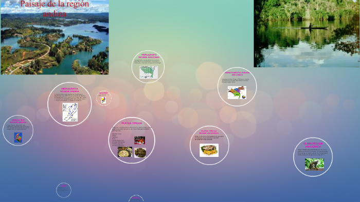 REGION ANDINA Y AMAZONIA by CAMILA ULTENGO on Prezi