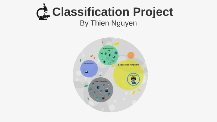 Classification Project by Thien Nguyen on Prezi