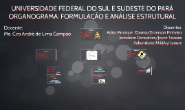 ORGANOGRAMA: FORMULAÇÃO E ANÁLISE ESTRUTURAL 