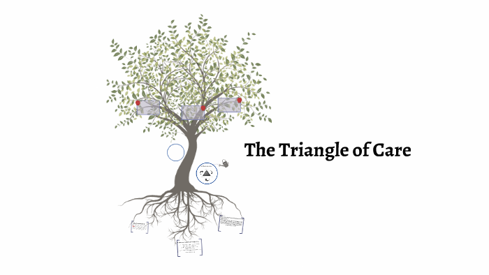 the-triangle-of-care-by-john-fulcher-on-prezi