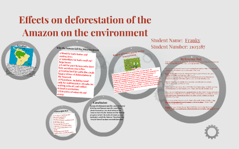 Effects om deforestation of the Amazon on the environment by Du BIn on ...