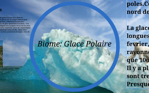 Biome: Glace Polaire by Lindsay Marshall- White on Prezi