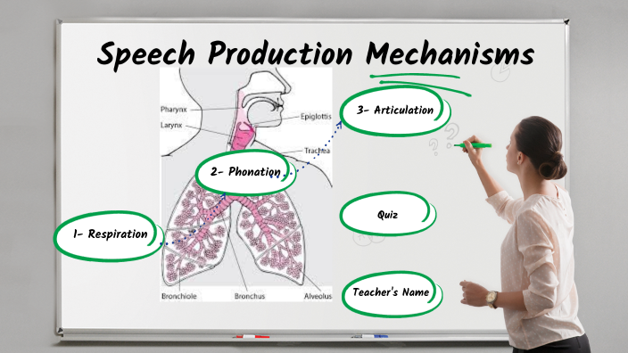 speech mechanisms presentation