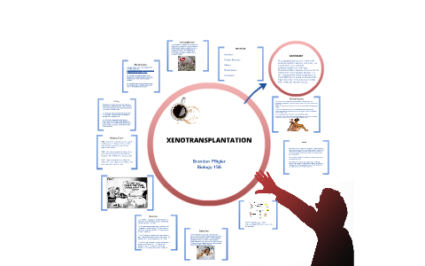 Progress in Xenotransplantation