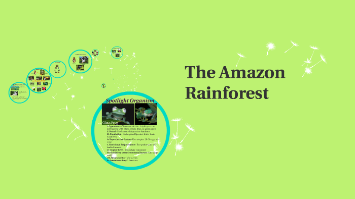 The Amazon Rainforest by Alexis Zuniga on Prezi