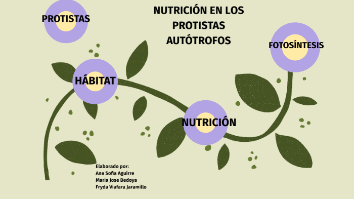 Nutrición en los protistas atotrofos by Ana Sofia Aguirre Echeverry on