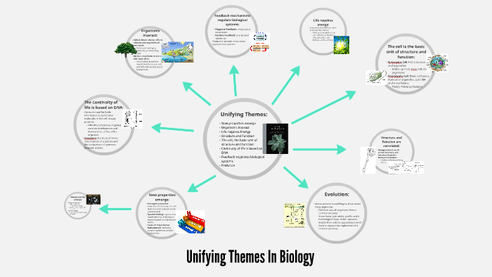 unifying-themes-in-biology-by-leah-fogelsanger