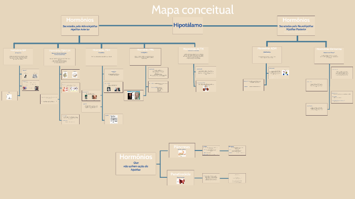Mapa conceitual by Daniel Tenorio on Prezi