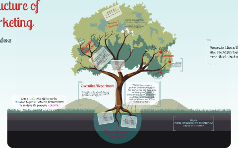 ORGANIZATIONAL STRUCTURE OF PIM by Joan Balbin on Prezi