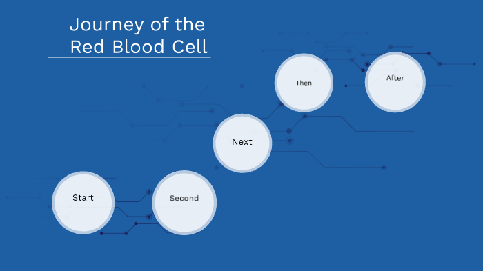 Journey of the Red Blood Cell by izzy Smith on Prezi