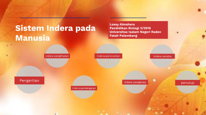 Sistem Indera Pada Manusia By Lossy Almahera On Prezi