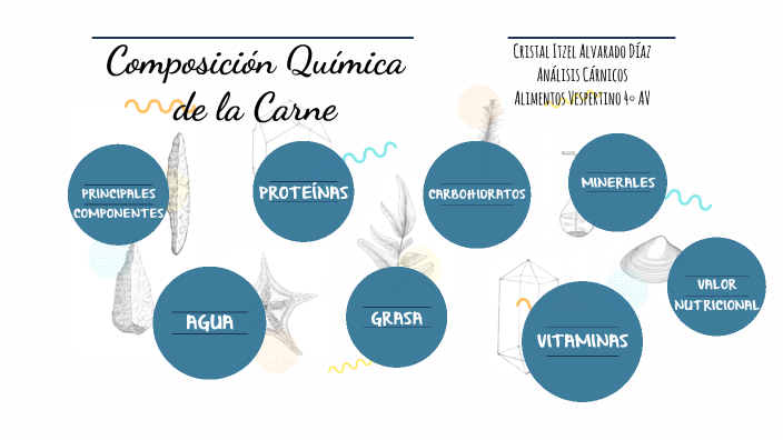 Composición Química de la Carne by CRISTAL ITZEL ALVARADO DIAZ on Prezi