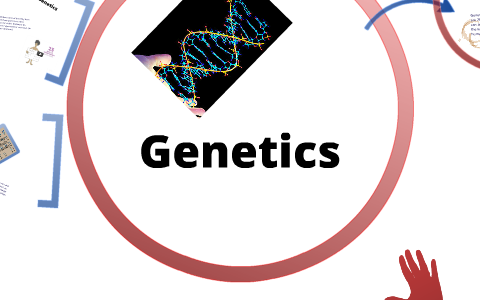 Genetics by Autumn Traynham on Prezi