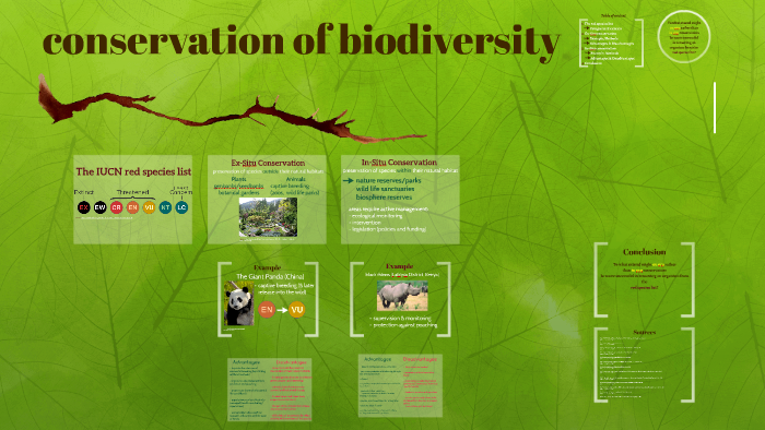 conservation-methods-by-maria-heinze