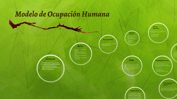 Modelo de Ocupaciòn Humana by fatima herrera on Prezi Next