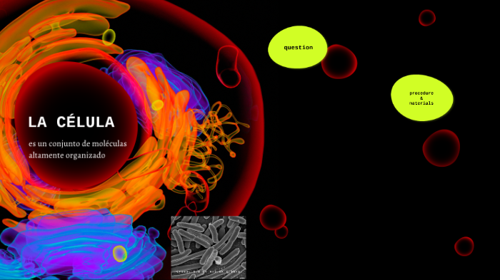 LA CÉLULA by Keyth Lopez on Prezi