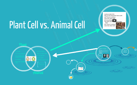 Plant Cell vs. Animal Cell by natalie prochaska on Prezi