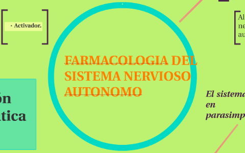 FARMACOLOGIA DEL SISTEMA NERVIOSO AUTONOMO By Jeymee Somro On Prezi