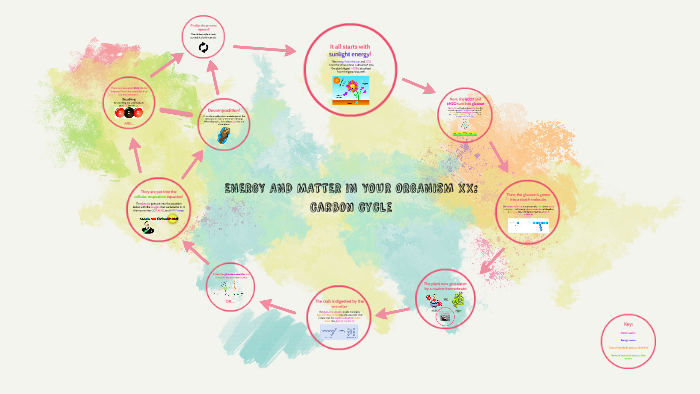 The Carbon Cycle by Kaeli Reyes on Prezi