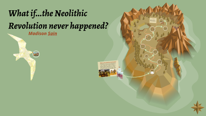 what happened in the neolithic revolution