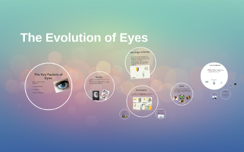 The Evolution of Eyes by trung nguyen