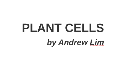 Plant Cell Prezi by Andrew Lim on Prezi