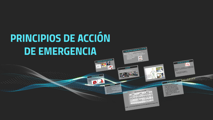 Cuales Son Los Principios De Accion De Emergencia prezi.com