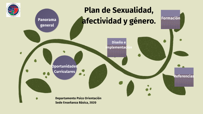 Plan De Sexualidad Afectividad Y Género By Camila Gonzalez On Prezi