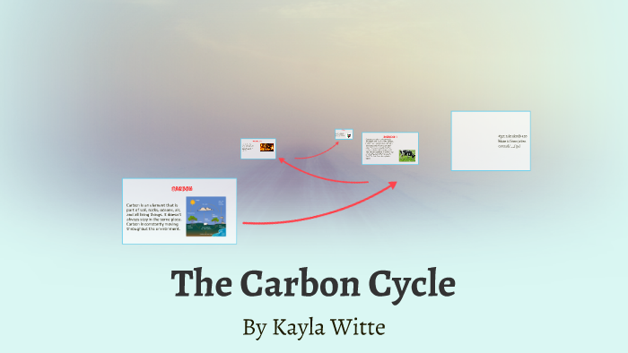 The Carbon Cycle by Kayla Witte on Prezi