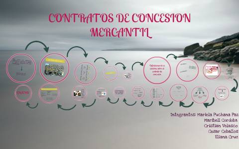 CONTRATOS DE CONCESION MERCANTIL by eliana cruz