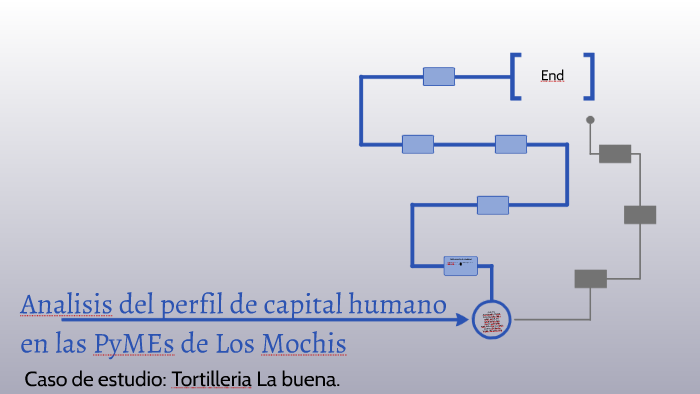 Analisis del perfil de capital humano en las by Kitcia Villalobos
