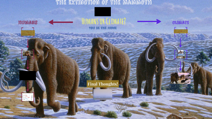 Extinction of Mammoths 2 (Humans or Climate) by Melinda Laubach on Prezi
