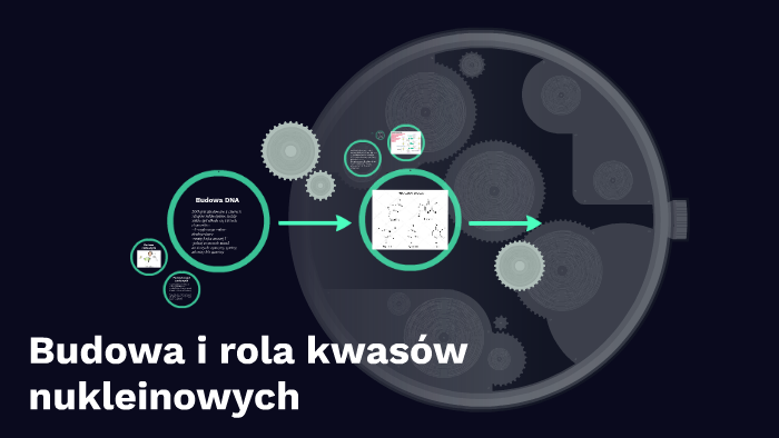 Budowa i rola kwasów nukleinowych by Klaudia Krefta on Prezi