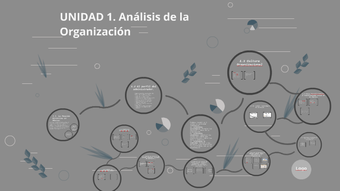 Unidad 1 Análisis De La Organización By Cristely Hernandez On Prezi