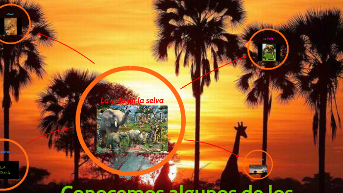 La vida en la selva by María Laura Perez on Prezi