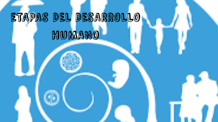 ETAPAS DEL DESARROLLO HUMANO by Keren Matorel on Prezi