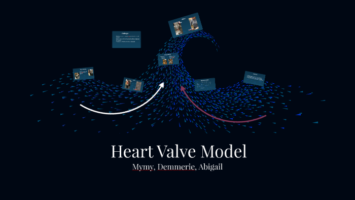 Heart Valve Model by