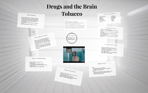 Drugs and the Brain by Lexi Anderson on Prezi
