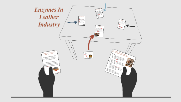Enzymes In Leather Industry By Tayyaba Hassan