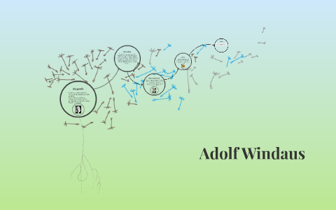 Adolf Windaus By Maria Gracia Peña On Prezi