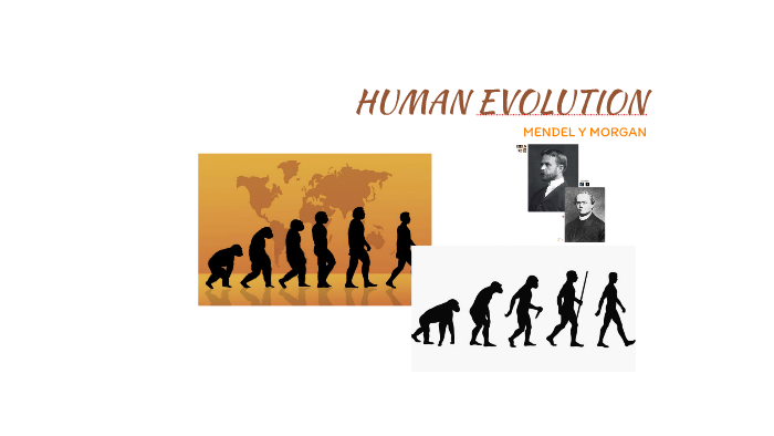 HUMAN EVOLUTION by oscar cano perez on Prezi