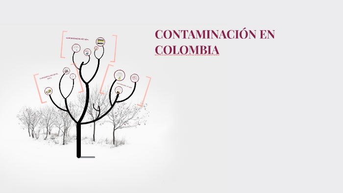 CONTAMINACIÓN EN COLOMBIA by Andrea Paola Reyes Jaime on Prezi