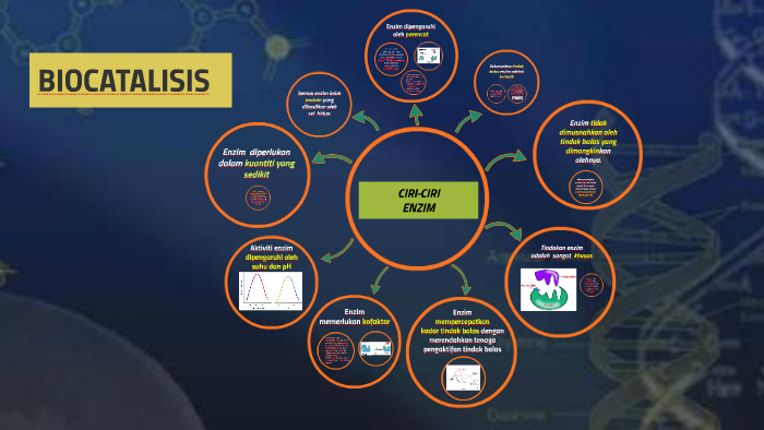 Ciri Ciri Enzim By Norliza Ismail
