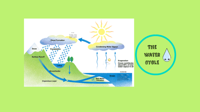 The water Cycle by Zoe Brentzel on Prezi