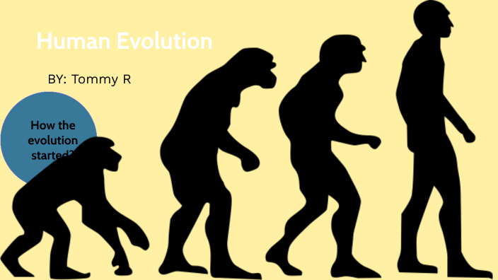 Human evolution by Tommy Romero Barragan on Prezi