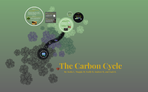 The Carbon Cycle by Maggie Hanzsche on Prezi