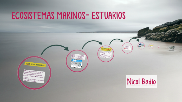 ECOSISTEMAS MARINOS- ESTUARIOS by Laura Pineda