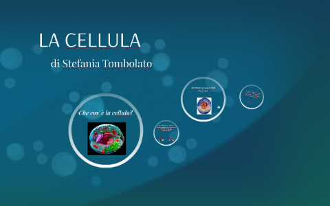La cellula by Stefania Tombolato on Prezi